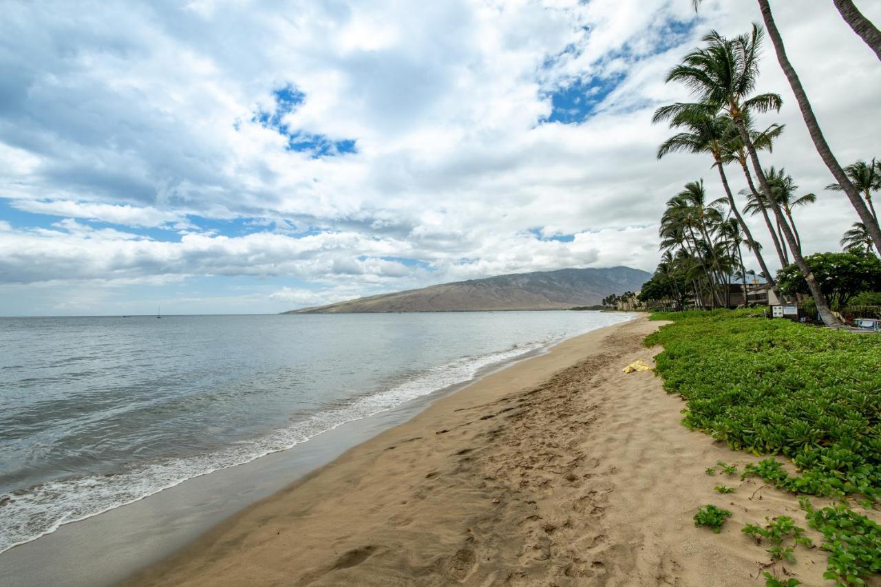 Kihei Beach 508 Exteriör bild